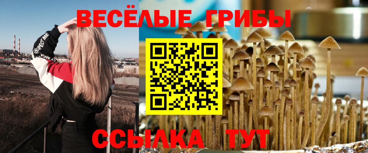 Галлюциногенные грибы Psilocybine cubensis Ханты-Мансийск
